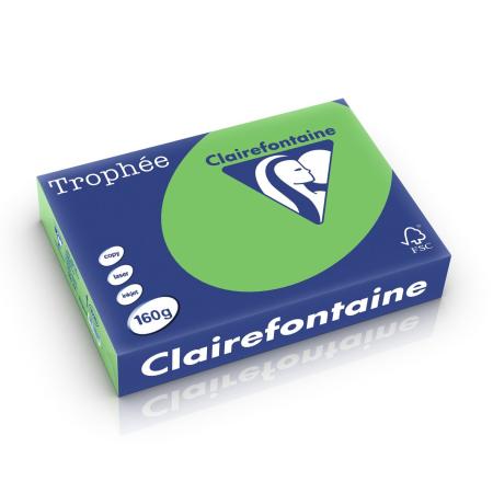 grasgroen 210 x 297 mm 160 gr clairefontaine 1025