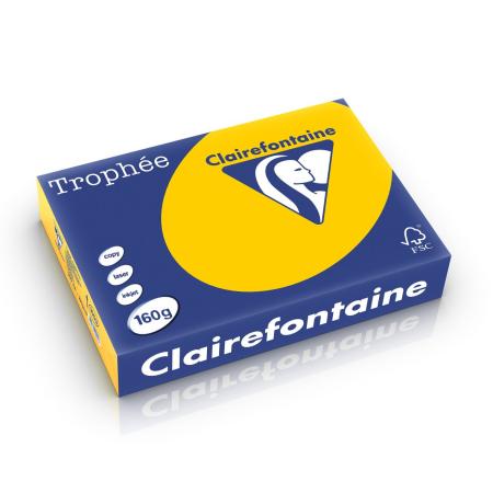 zonnebloemgeel 210 x 297 mm 160 gr clairef 1053
