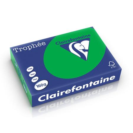 biljartgroen 210 x 297 mm 160 gr clairef 1007