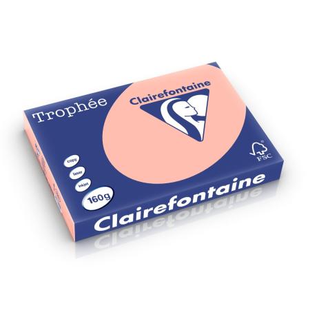 perzik 297 x 420 mm 160 gr clairefontaine 1141