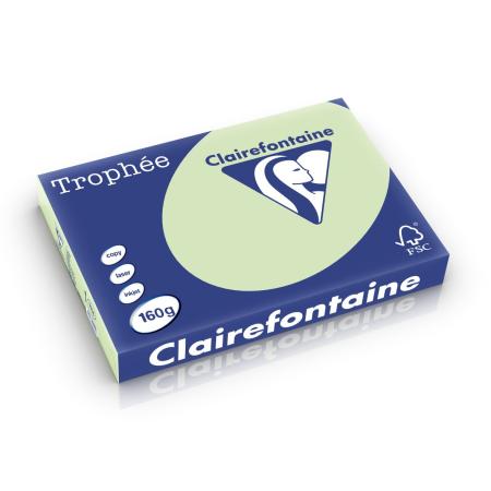 golfgroen 297 x 420 mm 160 gr clairefontaine 1114