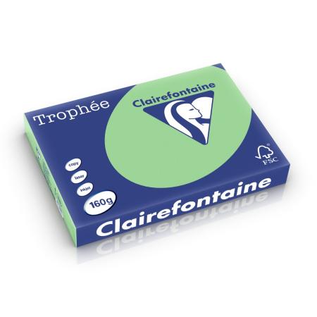 natuurgroen 297 x 420 mm 160 gr clairef 1119