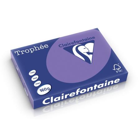 violet 297 x 420 mm 160 gr clairefontaine 1047