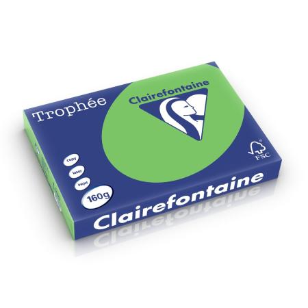 grasgroen 297 x 420 mm 160 gr clairefontaine 1035