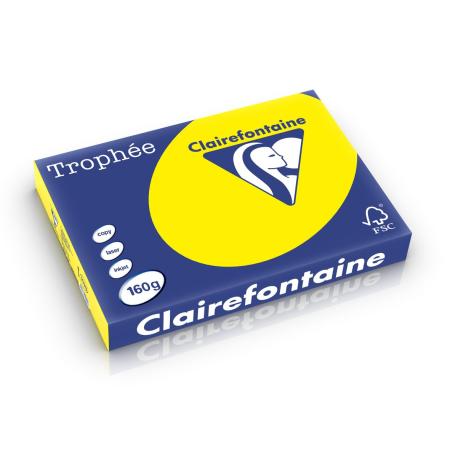zonnegeel 297 x 420 mm 160 gr clairefontaine 1039