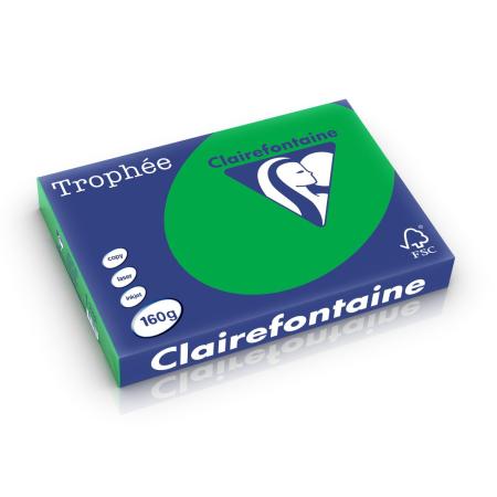 biljartgroen 297 x 420 mm 160 gr clairef 1008