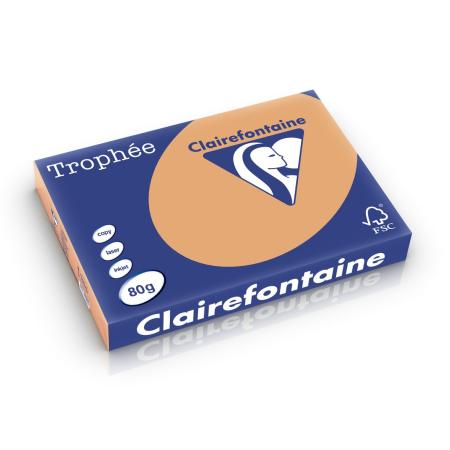 mokkabruin 297 x 420 mm 80 gr clairefontaine 1254