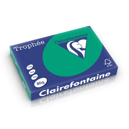 dennegroen 297 x 420 mm 80 gr clairefontaine 1896