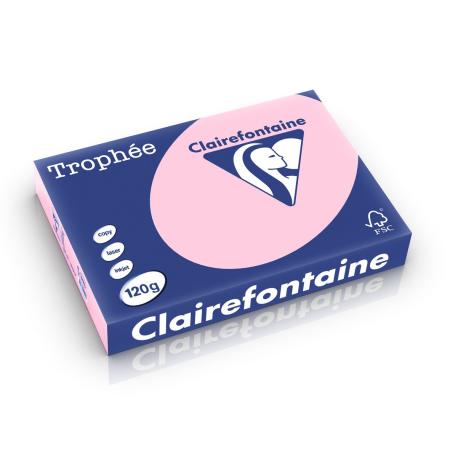 roze 210 x 297 mm 120 gr clairefontaine 1210