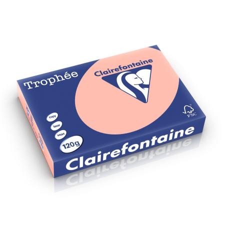 perzik 210 x 297 mm 120 gr clairefontaine 1243