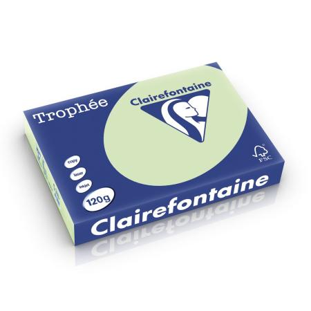 golfgroen 210 x 297 mm 120 gr clairefontaine 1215