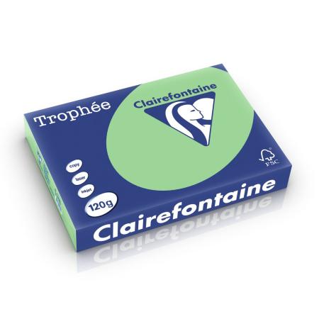 natuurgroen 210 x 297 mm 120 gr clairef 1228