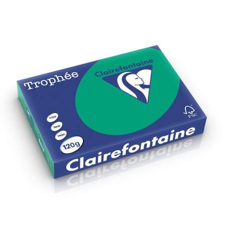 dennegroen 210 x 297 mm 120 gr clairefontaine 1224