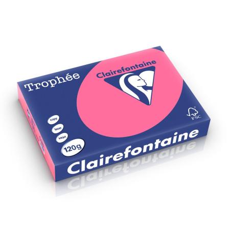 fuchsia 210 x 297 mm 120 gr clairefontaine 1219