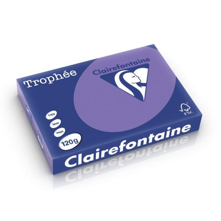 violet 210 x 297 mm 120 gr clairefontaine 1220