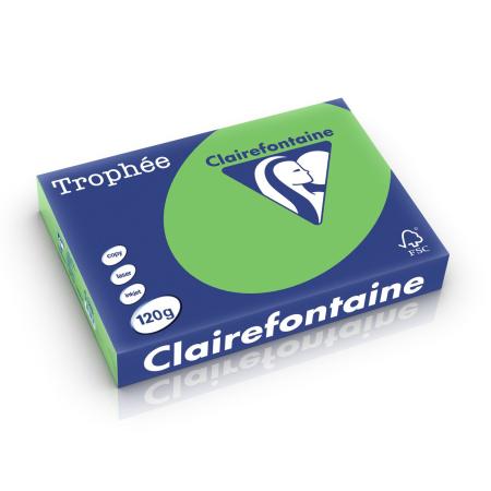 grasgroen 210 x 297 mm 120 gr clairefontaine 1293