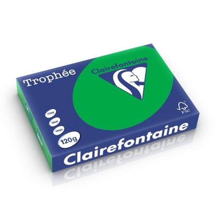biljartgroen 210 x 297 mm 120 gr clairef 1271