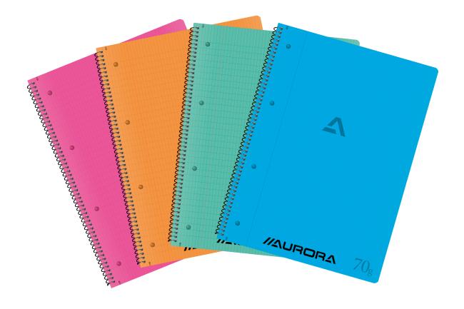 spiraalschrift aur college 210x297 mm com geruitPP
